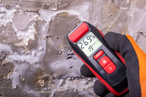 Best Professional Mold Removal  in Vincent, AL
