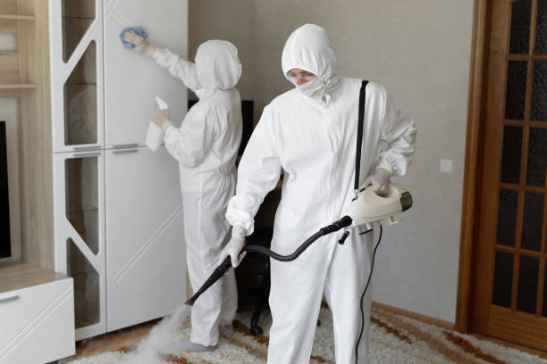 Best Residential Mold Removal  in Vincent, AL