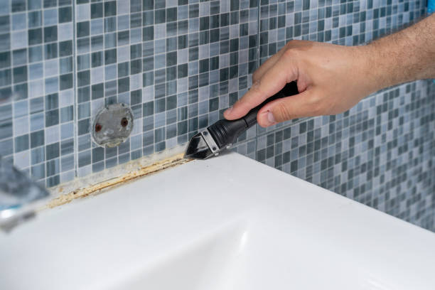 Best Mold Remediation  in Vincent, AL